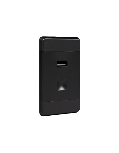 USB SWITCH BLACK | Light switch with USB port | Voltage 12V