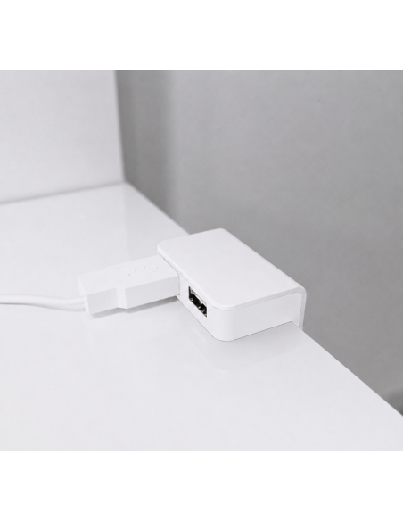 USB/T CHARGER WHITE | Double surface-mounted USB socket | Color: White | USB Charger | Voltage 12V
