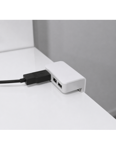 USB/T CHARGER BIANCO/ALLUMINIO | Doppia presa USB da appoggio | Colore: Bianco/Alluminio | Caricatore USB | Voltaggio 12V
